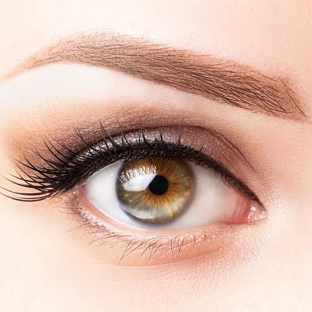 Wimpern & Augenbrauen